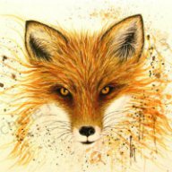 FoxSusRoot